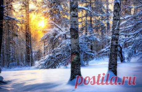 Kış Doğa,Manzara HD Duvar Kağıtları / Winter Wallpapers | NisanBoard Flatcast Radyo Destek Paylaşım Sitesi