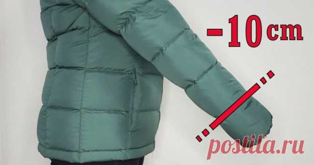Палю тему! "Тройчатка" для проращивания роз.