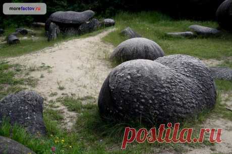 Трованты - живые камни Румынии