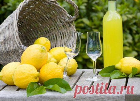 Домашний лимончелло: рецепт итальянского ликера