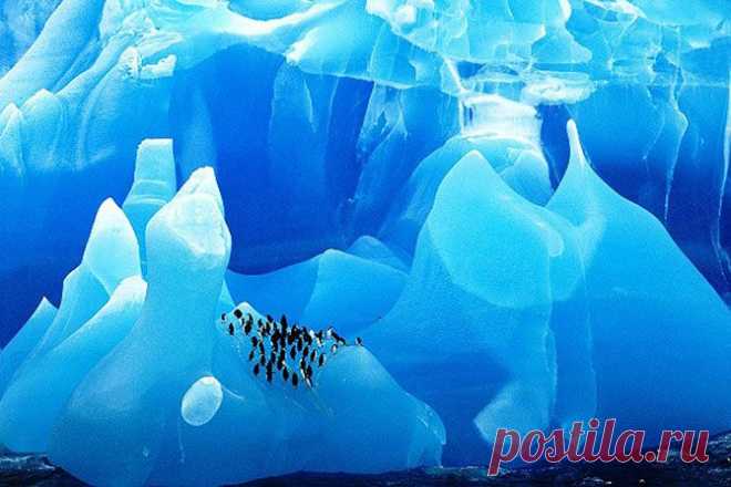 25 удивительных айсбергов и ледников со всего мира | ЛЮБИТЕЛИ ПУТЕШЕСТВОВАТЬ