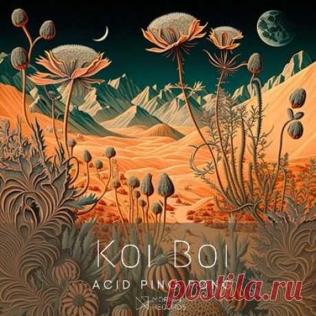 Koi Boi – Acid Ping Pong