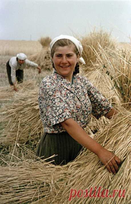 1950-е в цветных фотографиях / Назад в СССР / Back in USSR