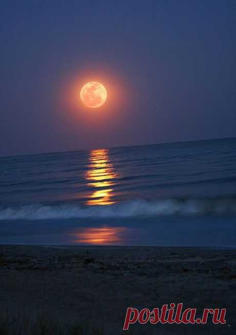 full moon over the ocean