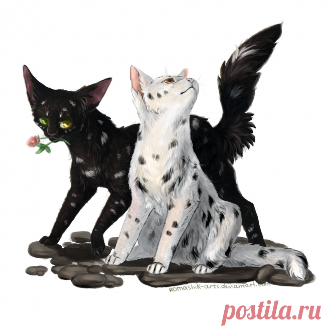 Cats Salt and Pepper. Commision by Romashik-arts on DeviantArt