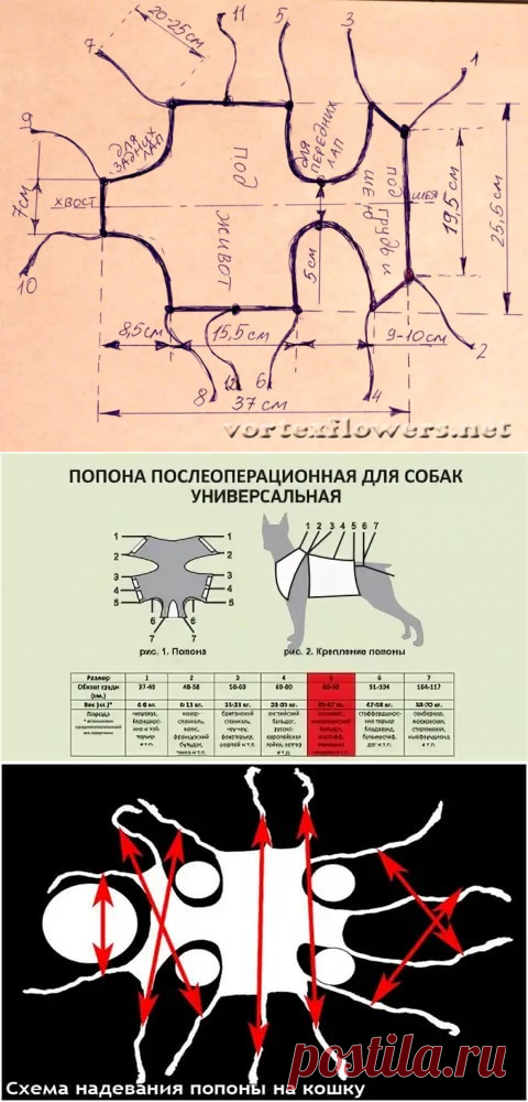 выкройка послеоперационной попоны на кошку: 2 тыс изображений найдено в Яндекс.Картинках
