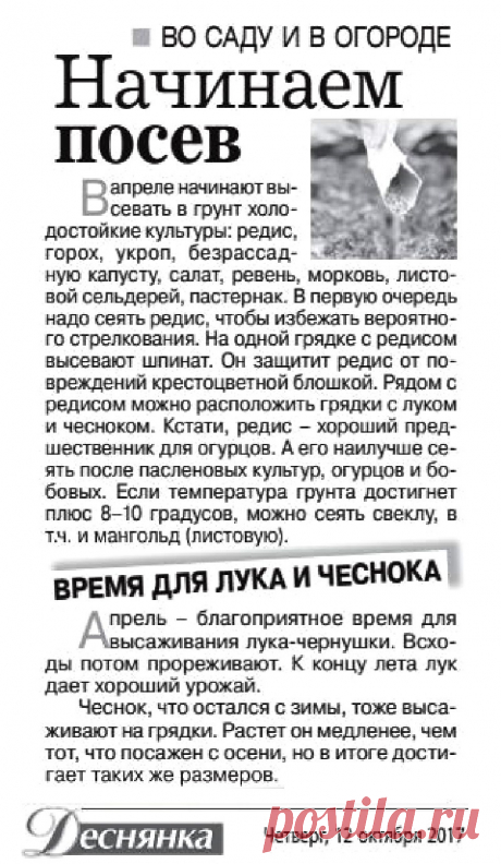 Дачные советы. Апрель-начинаем посев