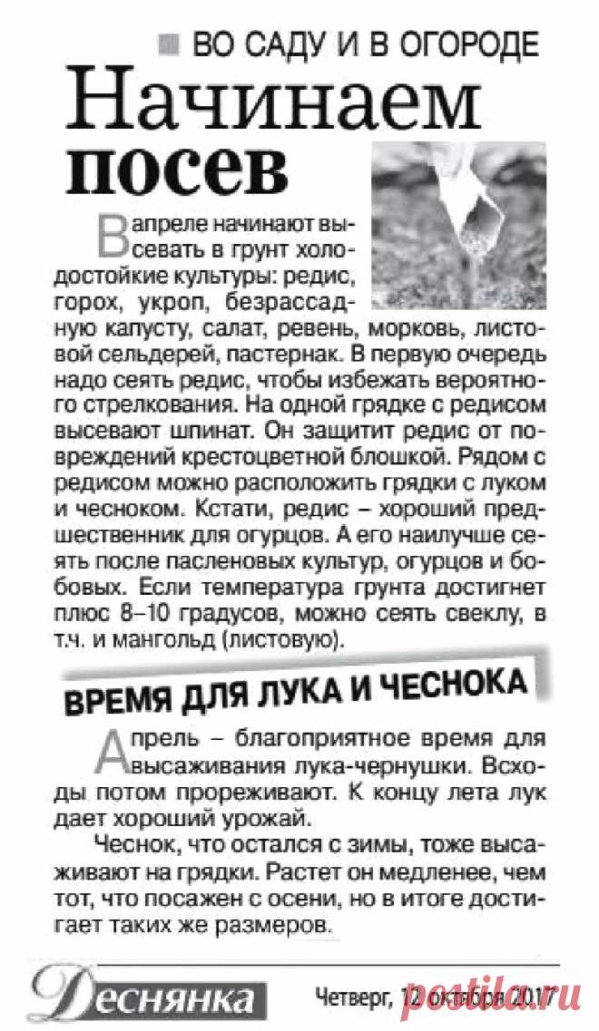 Дачные советы. Апрель-начинаем посев