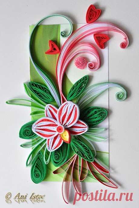 Printre hobby-uri: quilling, kusudama, origami, bijuterii handmade...: Quilling - Orchids