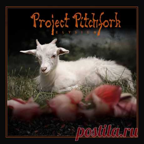 Project Pitchfork - Unity (Single) (2024) 320kbps / FLAC