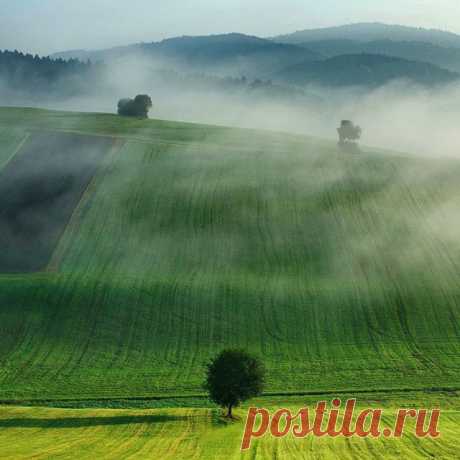 Bavarian Tuscany. The rolling foothills of the Bavarian Forest are reminiscent of Tuscany under certain circumstances. Fog and autumnal morning light are always good ingredients for a lovely scene. Near the village Perlesreut