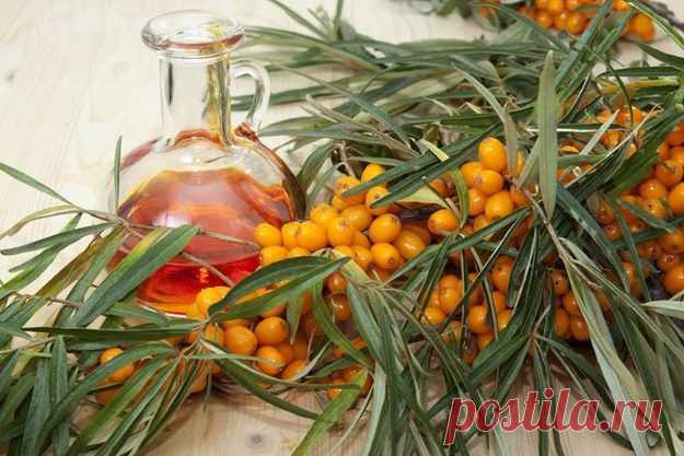 Девять полезных альтернатив оливковому маслу / Будьте здоровы