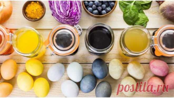 Натуральные красители для яиц из того, что есть на каждой кухне — informed news 24