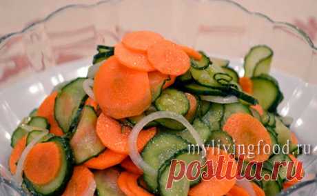Салат из огурцов и моркови - Моя живая еда Вкусные, полезные и красивые блюда живой кухни