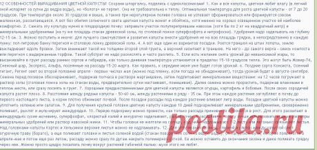 Дачницы-удачницы-19. К Новому уДачному Году готовы! - Страница 73 | VLADMAMA.RU