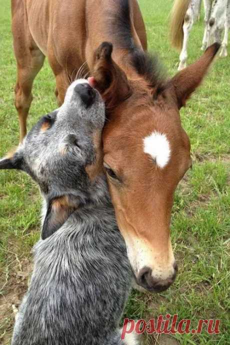 Is this sweet or what?? | Reese and Lily Ann