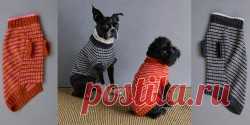 Полосатый свитер для собаки Pinstripe - Вяжи.ру