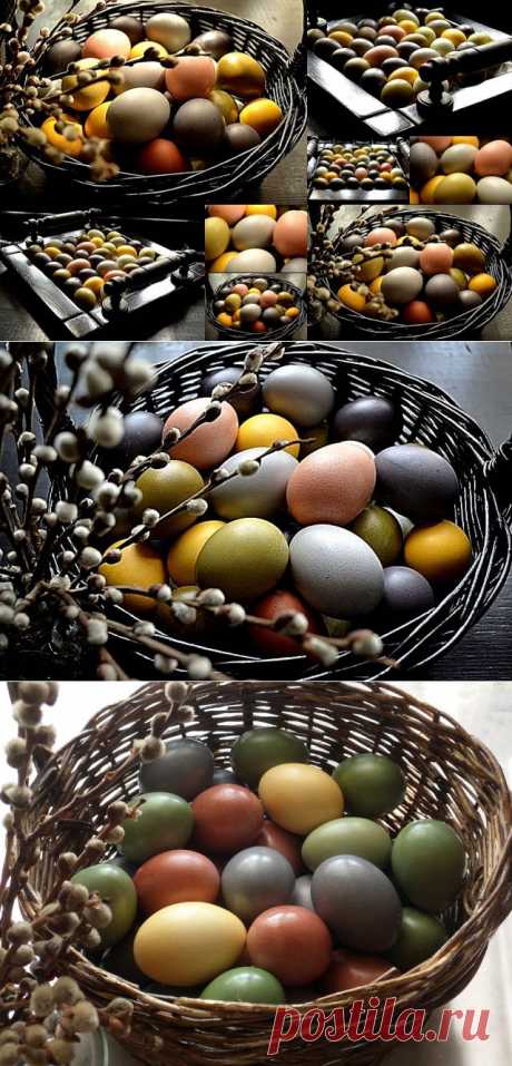 Натуральные красители для пасхальных яиц.