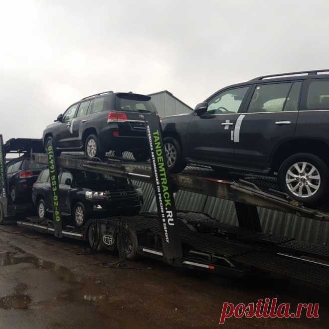 🚍 Транспортная компания по перевозке грузов и автомобилей
👀 Большой опыт 💨 Оперативная доставка 💝 Приятные цены
📆 Работаем круглосуточно, без выходных 📞 +7(495)988-79-95