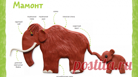 Изучаем древних животных с помощью пластилина: 4 мастер-класса от Чевостика