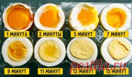 Научный способ, который поможет сварить яйца правильно...