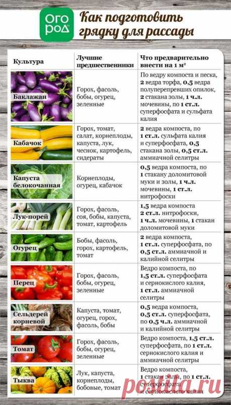 Все, что вы хотели знать о высадке рассады в грунт (в таблицах) | Рассада (Огород.ru)