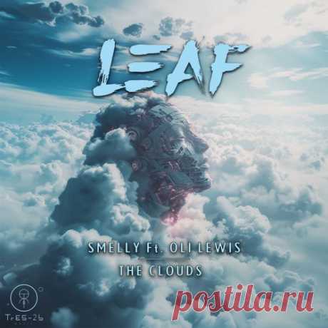 Leaf - Smelly , The Clouds [TrES-2b MUSIC]
