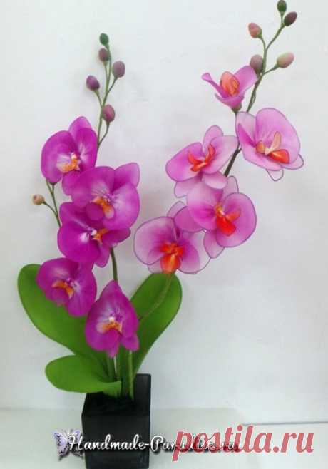 Орхидея Фаленопсис из капрона. Мастер-класс - Handmade-Paradise