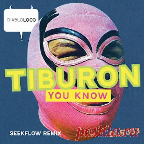 lossless music  : Tiburon - You Know (SeekFlow remix)