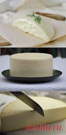 Адыгейский сыр / Домашний сыр / TVCook: пошаговые рецепты c фото