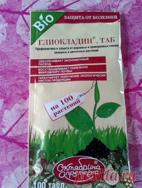 ❓ Вопрос от Алексея
- Что нужно добавить при посадке, чтобы корни не ели разные жучки, червячки, грибы? Слышали, что появилась какая-то чудо таблетка, которую нужно класть в ямку, и тогда никто ничего уничтожать не будет. Что это за таблетка?

✅ Ирина,  Бендеры:
- Алексей , я ничего о такой чудо-таблетке не слыхала. Знаю, что есть Алирин, Гамаир и Глиокладин, но эти таблетки не от всех вредителей. Я использую Глиокладин, кладу таблетку под корень рассады –хорошо помогает о...