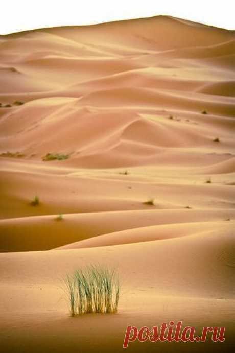 Morocco Desert,  flickr от Eyebeam Photography  |  Pinterest: инструмент для поиска и хранения интересных идей