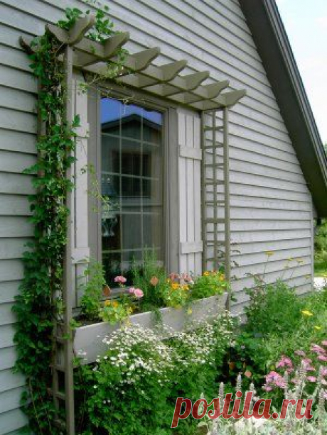 Like it. A mini pergola for around the window. Looks good for training clematis. | Outdoor
