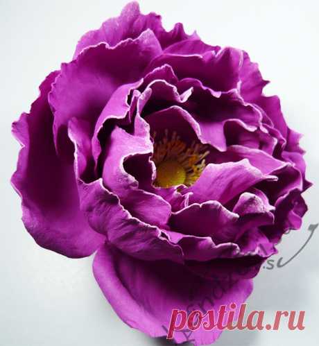 Мастер-класс: как сделать бурбонскую розу "Барон Жиро де л'Эн" из фоамирана Мастер-класс изготовления бурбонской розы "Барон Жиро де л'Эн" из фоамирана, подробные фото