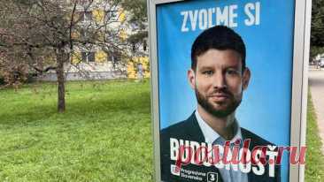 Лидер оппозиционной партии в Словакии обратился в полицию из-за угроз