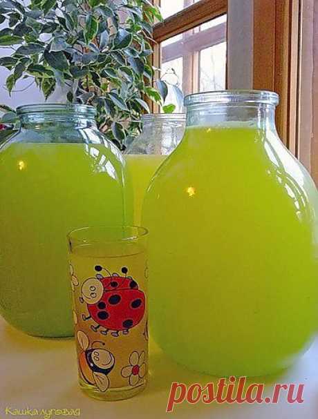 Невероятно, но факт: 9 литров лимонада из 4х апельсинов - Простые рецепты Овкусе.ру