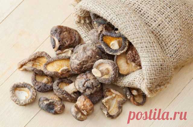 Как превратить сухие грибы в свежие? — Полезные советы