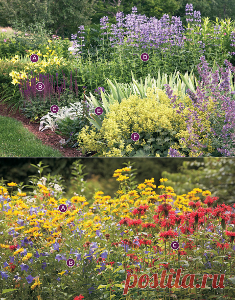 Two stunning ideas for your summer perennial garden bed | Garden Gate