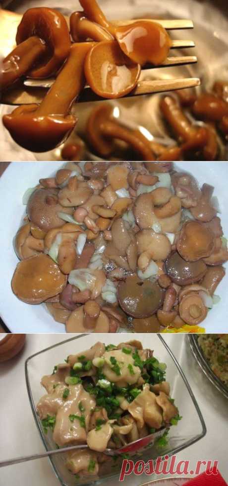 Консервируем маслята: маринованные и соленые грибы на зиму / Простые рецепты