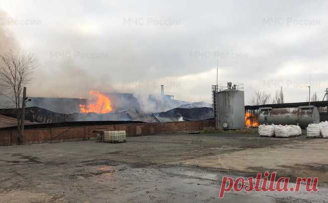 В Ростовской области загорелся склад на 1,2 тыс. кв. м. В городе Аксай Ростовской области загорелся склад с целлюлозой, сообщили в главном управлении МЧС по региону.