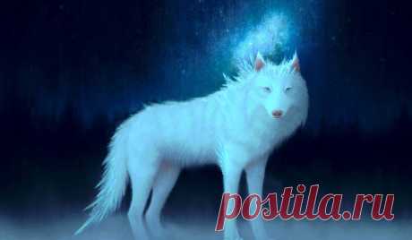Download Fantasy White Wolf Art Wallpaper | Wallpapers.com Download Fantasy White Wolf Art wallpaper for your desktop, mobile phone and table. Multiple sizes available for all screen sizes. 100% Free and No Sign-Up Required.