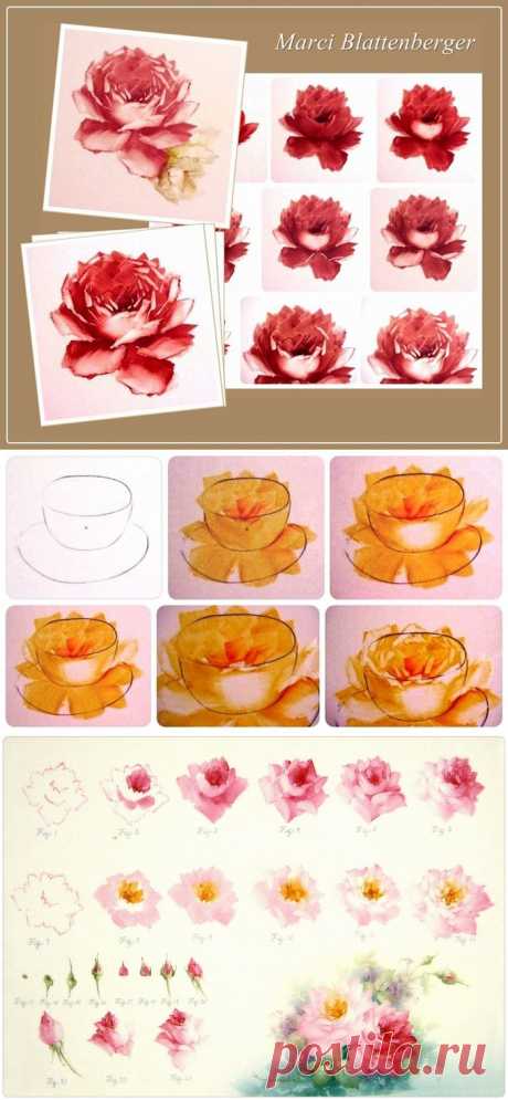 Rose. China painting. Шаг за шагом. Шикарная подборка..