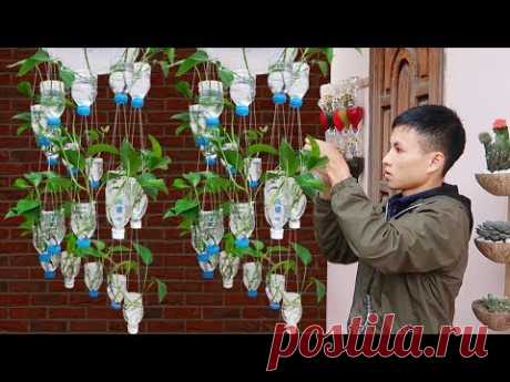 Amazing Vertical Hanging Garden Using Plastic Bottles, Very Easy and Cheap