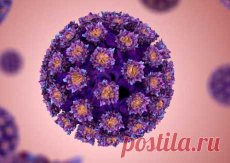 Правда и мифы о вирусе папилломы / Будьте здоровы