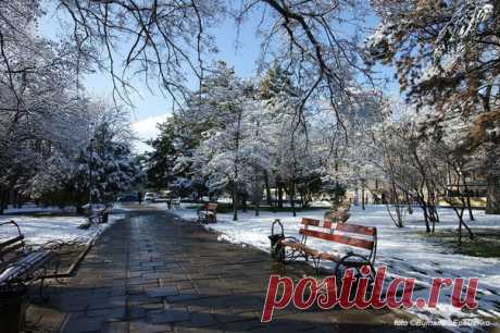 Доброго дня! Хорошей погоды! Легкого и красивого снега! На фото: Сквер 200-летия г.Симферополь в столице Крыма