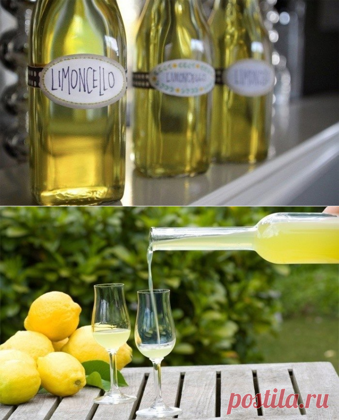 Лимончелло рецепт 1 литр. Лимончелло 20 литров. Сироп Лимончелло. Ламоника Лимончелло. Лимончелло Грузия.