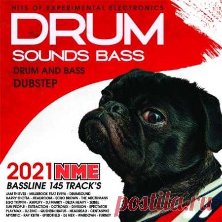 Drum Sound Bass (2021) Прыжки до потолка, угар, бодрейшие сеты и драйв в сочетании с депрессивной меланхолией. Всё это будете переживать вместе с исполнителями треков сборника сочных басов под названием 