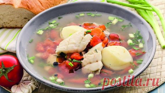 Супы из баранины - рецепты с фото и видео на Гастроном.ру