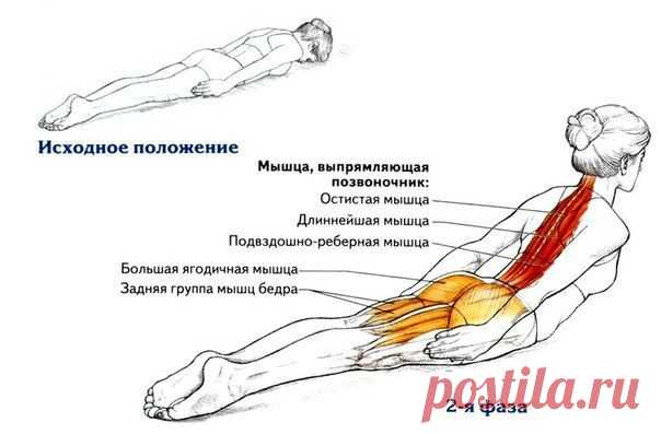 Почему для королевской осанки вам нужно всего одно упражнение?