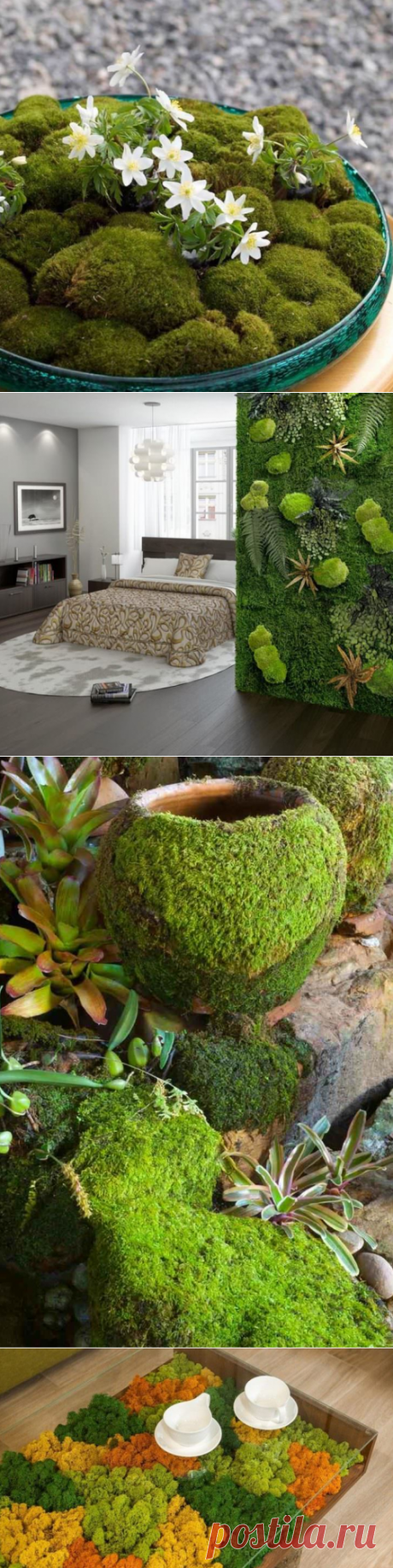 √ 37 Best Indoor and Outdoor Moss Decorative Ideas In 2019 - Home and Gardens